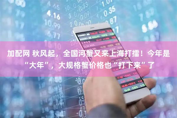 加配网 秋风起，全国河蟹又来上海打擂！今年是“大年”，大规格蟹价格也“打下来”了