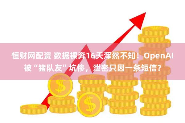 恒财网配资 数据裸奔16天浑然不知！OpenAI被“猪队友”坑惨，泄密只因一条短信？