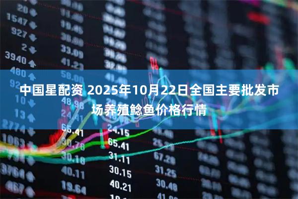 中国星配资 2025年10月22日全国主要批发市场养殖鲶鱼价格行情