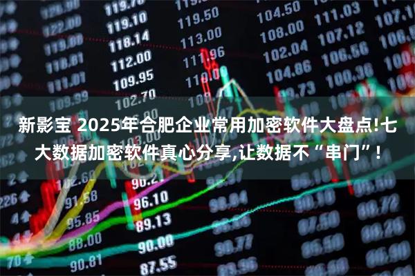 新影宝 2025年合肥企业常用加密软件大盘点!七大数据加密软件真心分享,让数据不“串门”!